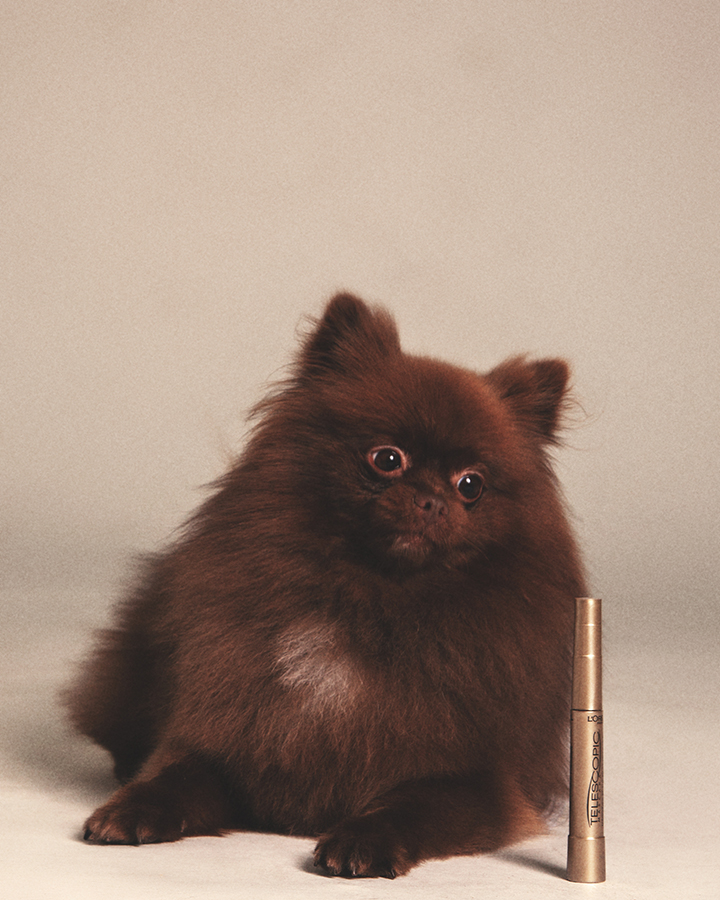 Eyes Speak Louder OVERDUE